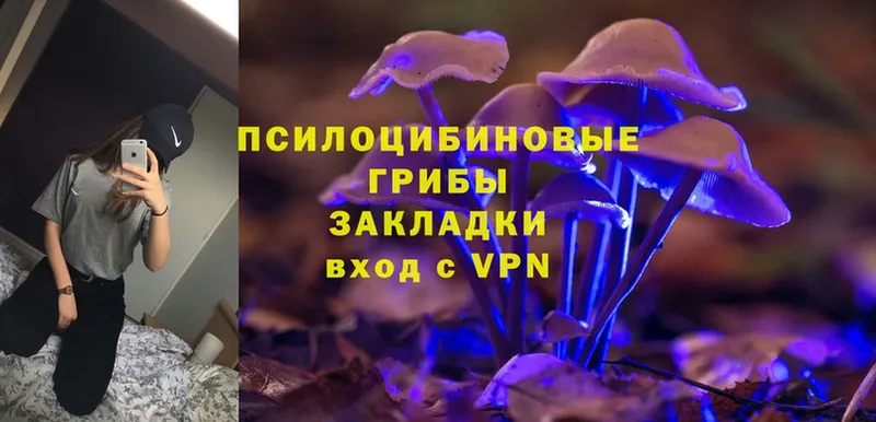 Галлюциногенные грибы Magic Shrooms  Тобольск 